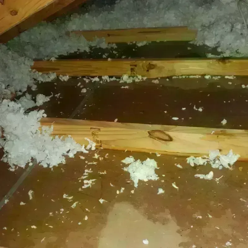 Attic Water Damage in Utuado barrio-pueblo, PR